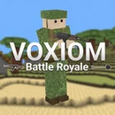 voxiom io